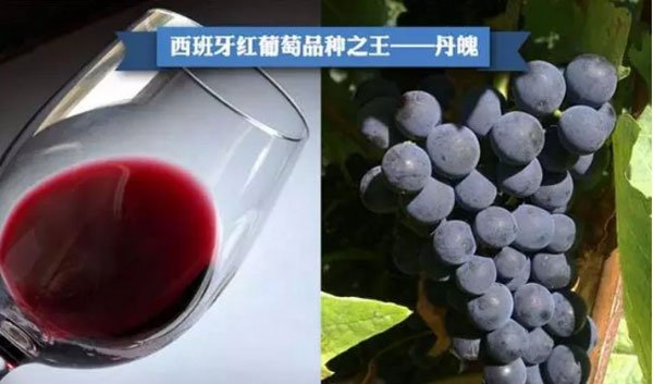 西班牙葡萄酒